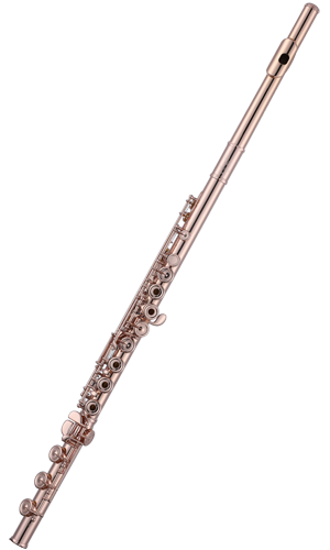 Aidis S804-P18K