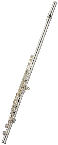 Aidis S804